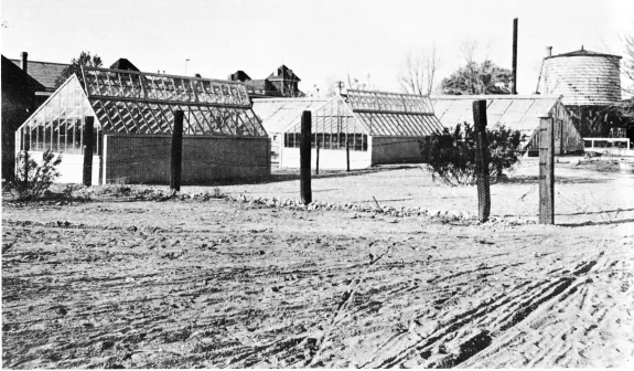 Campus greenhouse complex circa 1905